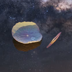 A leaf amongst Stars