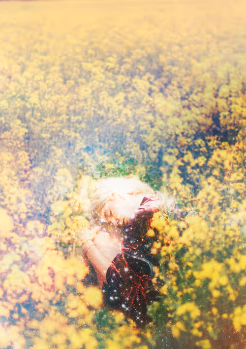 Item #33666551535504522030171567501508096477250478042702370837447251519523113664513 Media