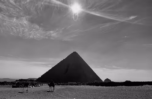 Item #7988524424816473243042003724415828216884169392000493030133153243672464064513 Media