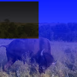 105089968166921690156624725616502706642431777719922472152070405750250081878017