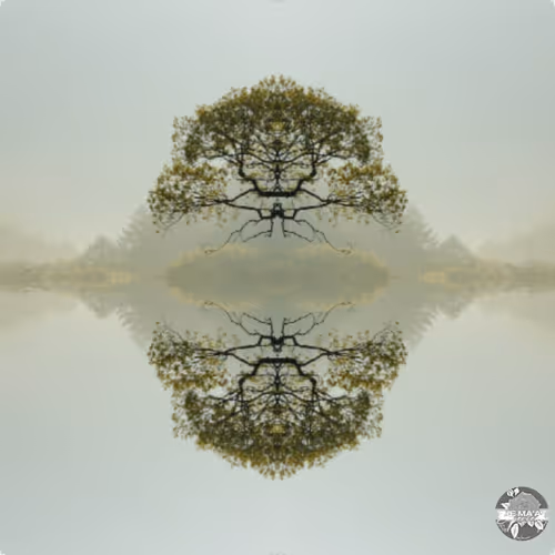 Item #91347118439362741551389333671966665312290753561976967806094161297658777436161 Media