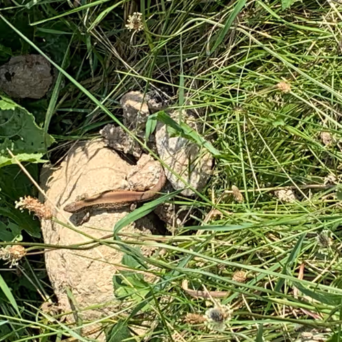 Untitled Collection #68012555