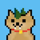 50990333784662216068045043133580224035294296865200642789474748658634169778177