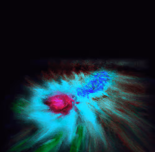 Neural By Machine