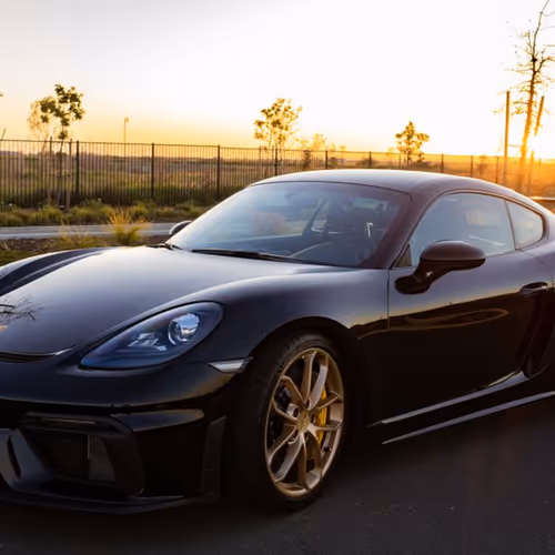 Untitled Collection #16807194