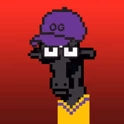 OG Giraffe #2884