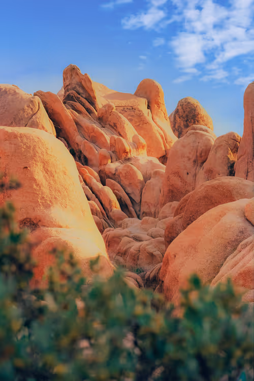 Item #65389115153694578478564242241340255981733508835170709142805133197627914977281 Media