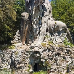 Giant