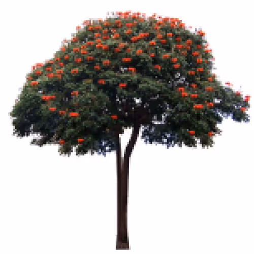 Item #105603725609947989499044129472074064723412167009068320432332286925127475527681 Media