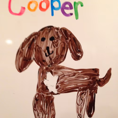 Untitled Collection #2853942