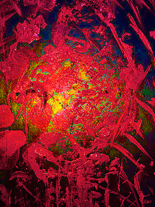 Item #66098685402031073944865689803255596350837877978564507056351552053919084445697 Media