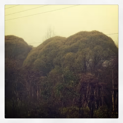 Item #52895557054077878382104802534352742176621658292506660955636510184167077576705 Media