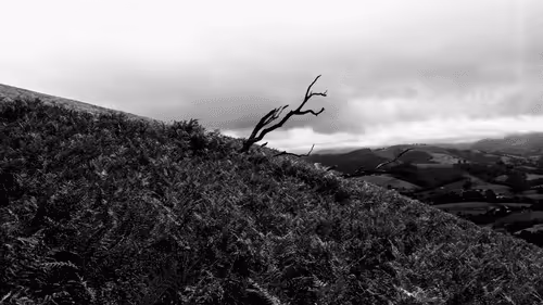 Item #61601413983432262200822046408210296549184035160504594584973518297388640370689 Media