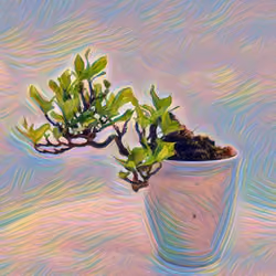 Green Dragon Bonsai #3