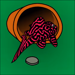 81664083123670143983968740139941474364733981378414170565535210824243181780993