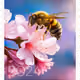 59025450227226163113038773914302563665801174297099316168773443465667309207572