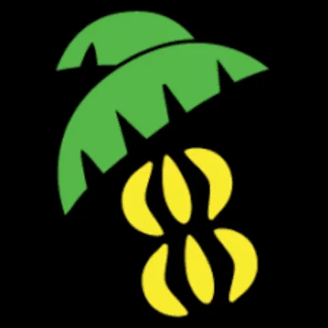 Pedro_Mont Collection