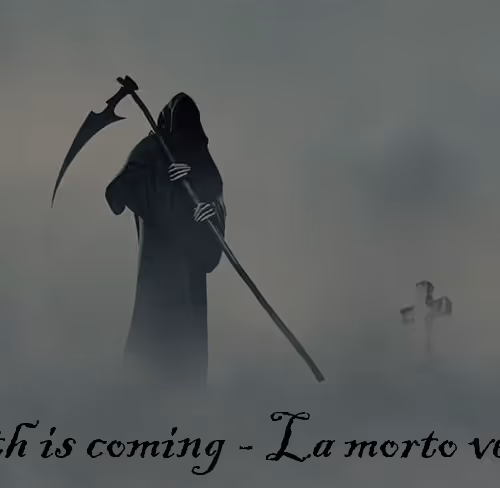 Untitled Collection #182142647