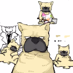 セント犬