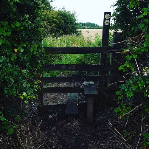 Item #105237010342582609876748436582366170093723610565651913513256945279786310172673 Media