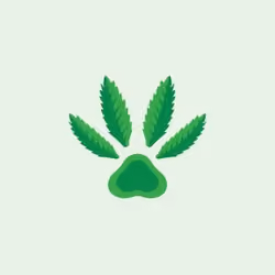 Chronic condition-死亡的起點有沒有天堂(#19 of 19)