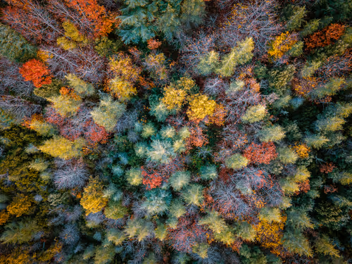 Item #95229034153510470396511515867568444678676379780033711068818665184498529861633 Media