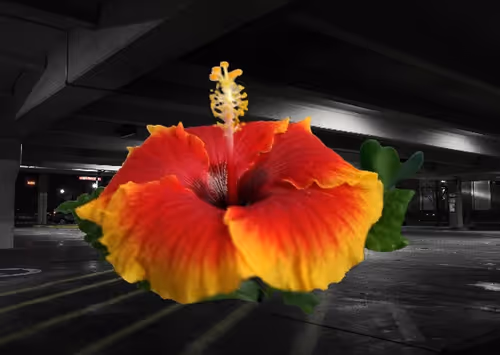 Item #61061533077375866997167366209908203766891361492860564408818259722759422607361 Media