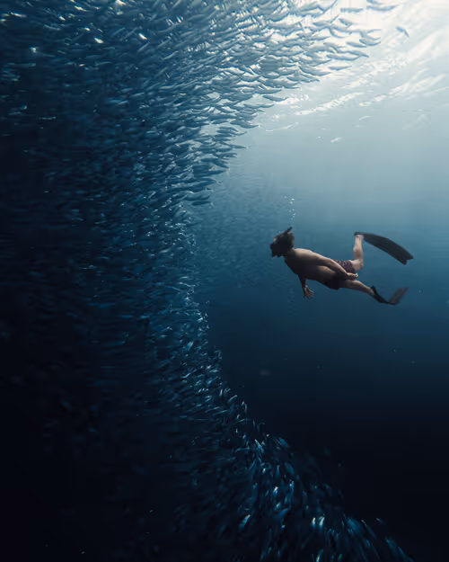 Item #28576884558960261702679330541156353592021494721255183711613472585900684738561 Media