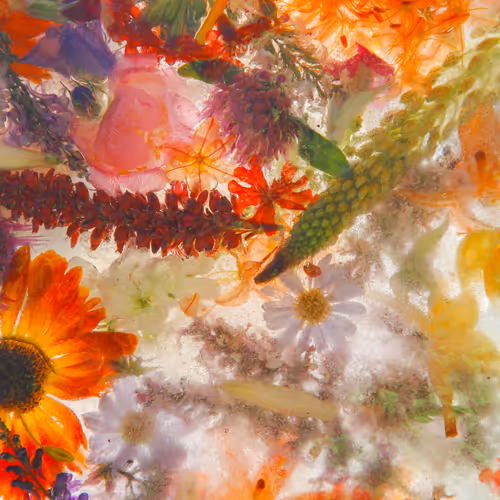 Item #80829721372825377784010953381890255518558028243098186913878117615713990475777 Media