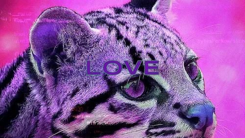 Item #10849868978570555998729466422971429783461062046788598797230591958565427085313 Media