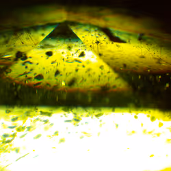 71646257518770613568983710813551014237803002136866425209291834505681145167873