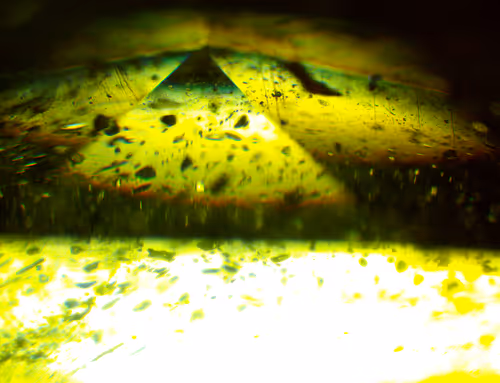 Item #71646257518770613568983710813551014237803002136866425209291834505681145167873 Media