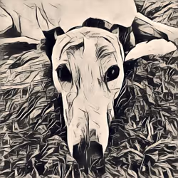 113233535435930126246803406212525192330824104616936385021501681218804711948289