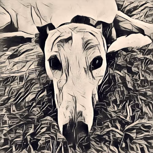 Item #113233535435930126246803406212525192330824104616936385021501681218804711948289 Media