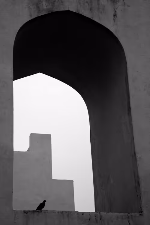 Item #104736709138995580398553312052195402793474176567464778410499650057141349253121 Media