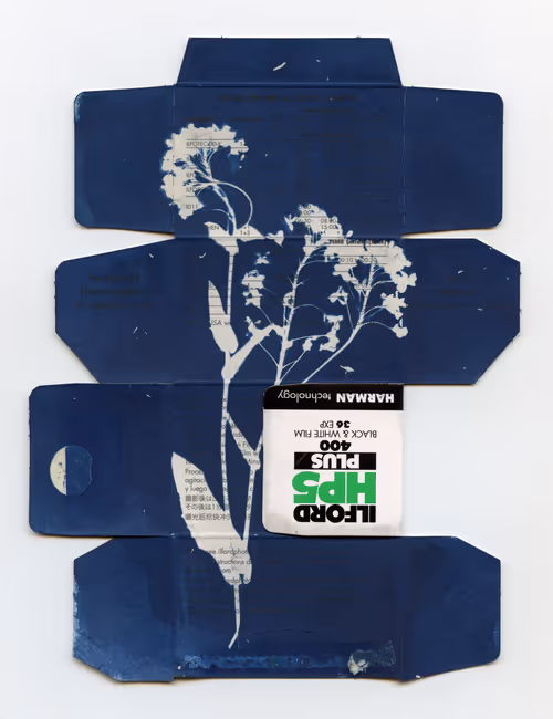 Item #111011725726495855372299514845268257360181815302247514251443823706546731220993 Media