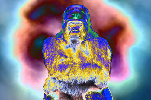 Item #37771705042607633984215485442696248406020579018981637919666644991418795294721 Media