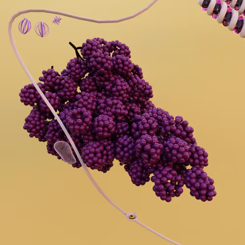 Item #52340185593795268693216480024385572018265039385291647297478075465875211681793 Media