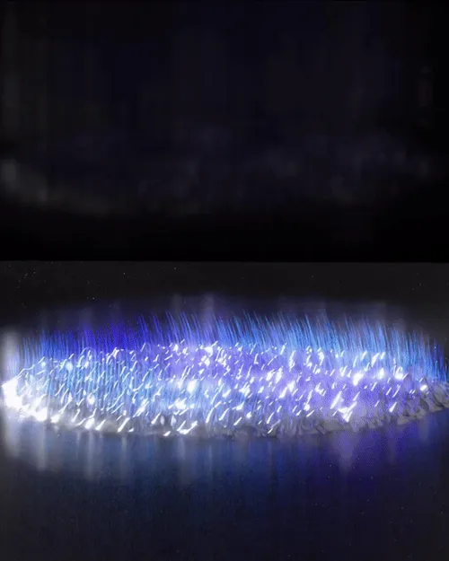 Item #10373954460443392494455842024184602361038052474264117935477510388369865048065 Media