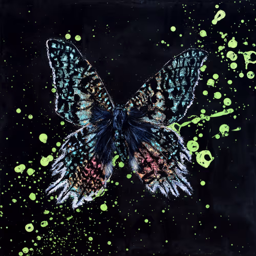 Item #31878015786887625449379653420806268900262982390960709769222713660788348813313 Media