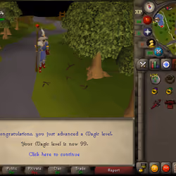 99 Mage