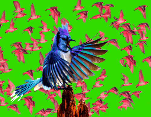 Item #43491420902550312144531220926816905712993913089726861711992935516373451276289 Media