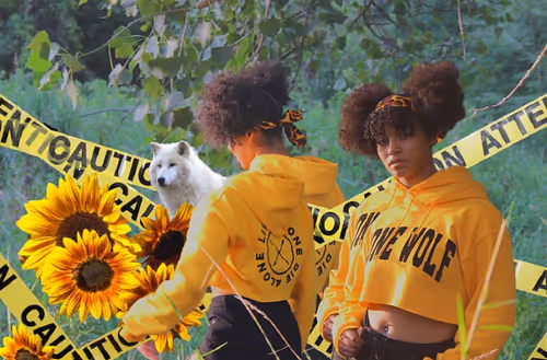 Item #46596560307823432779543269629341643733212124731259803815140033186925522190337 Media