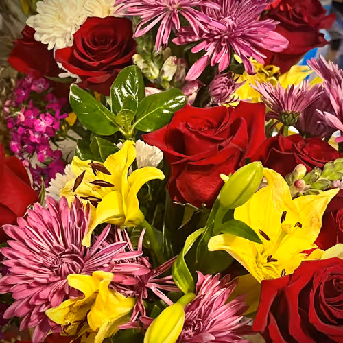 Untitled Collection #2189503770