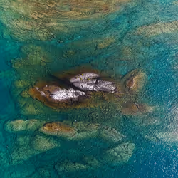 100600280271040798317723628260513137156606623100883316454227272225523291389953