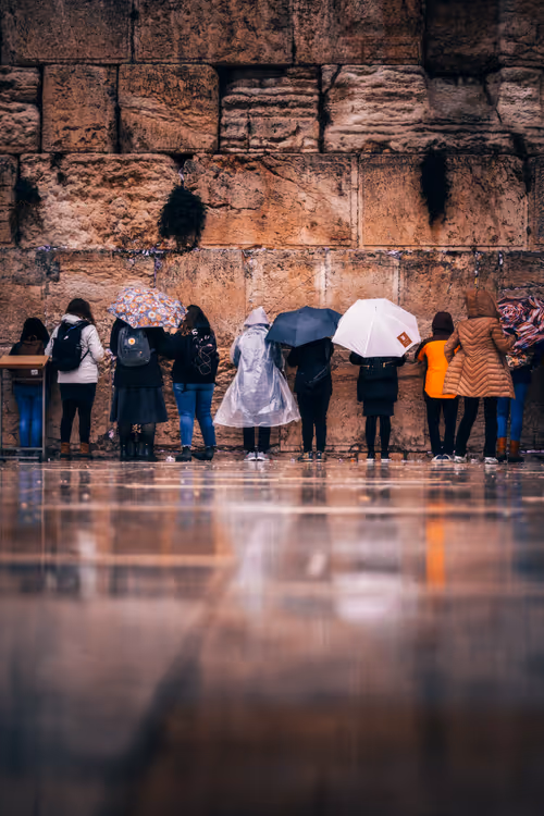 Item #91533776349707107334996359426163394312914568393480287964012023551483598340097 Media