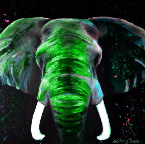 Item #59975975599495400517104577385822841087331165136651417606766975094203044855809 Media