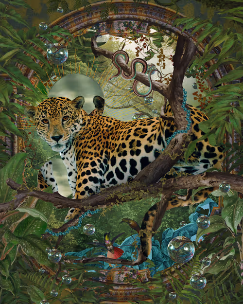 Item #52157283746525259542450048435420026544825586665161748575613848746889421258753 Media