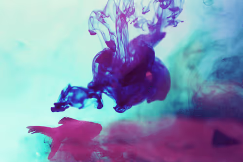 Item #101713277105975589639880448454091243544280285560533982294413790912286174478346 Media