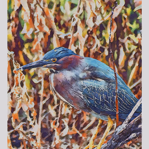 55704534837685659622621715309832868758345944585427688586690141417962878271489